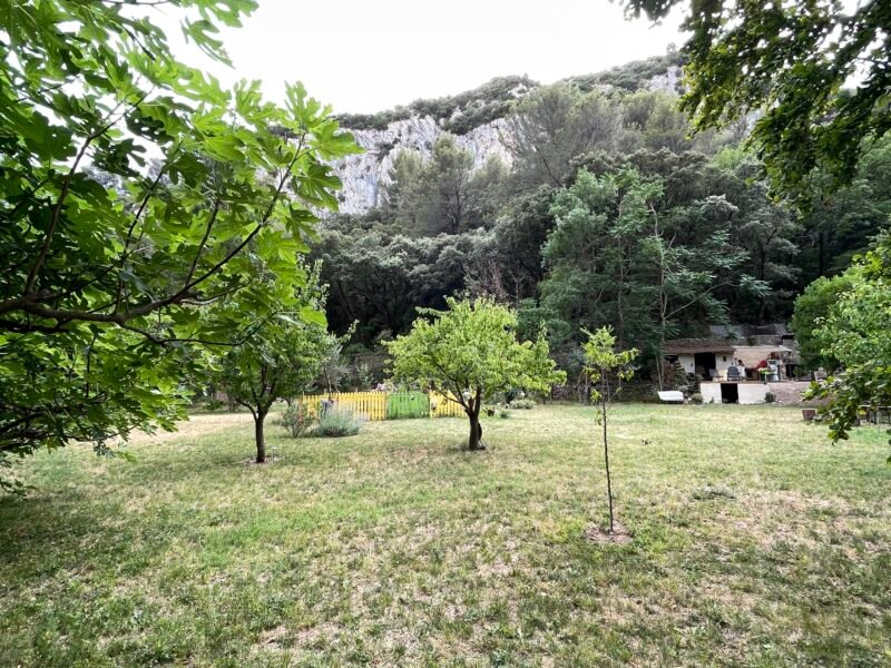 Terrain bucolique idéal événements champêtre