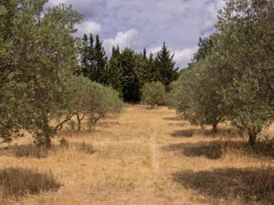 Terrain agricole à Cucuron - plusieurs parcelles possibles