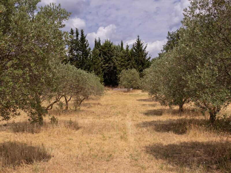 Terrain agricole à Cucuron - plusieurs parcelles possibles
